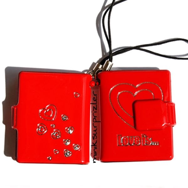 Mini Albüm Kırmızı Love is Enamel
